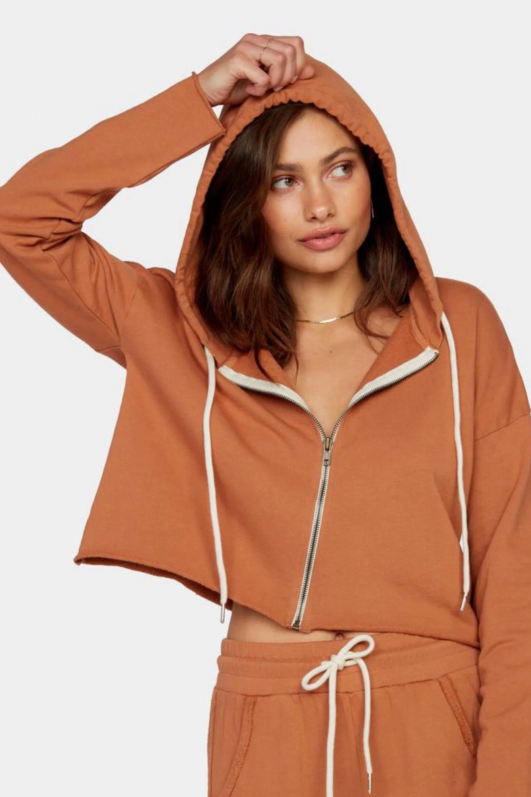 Clay Lewis Cropped Hoodie