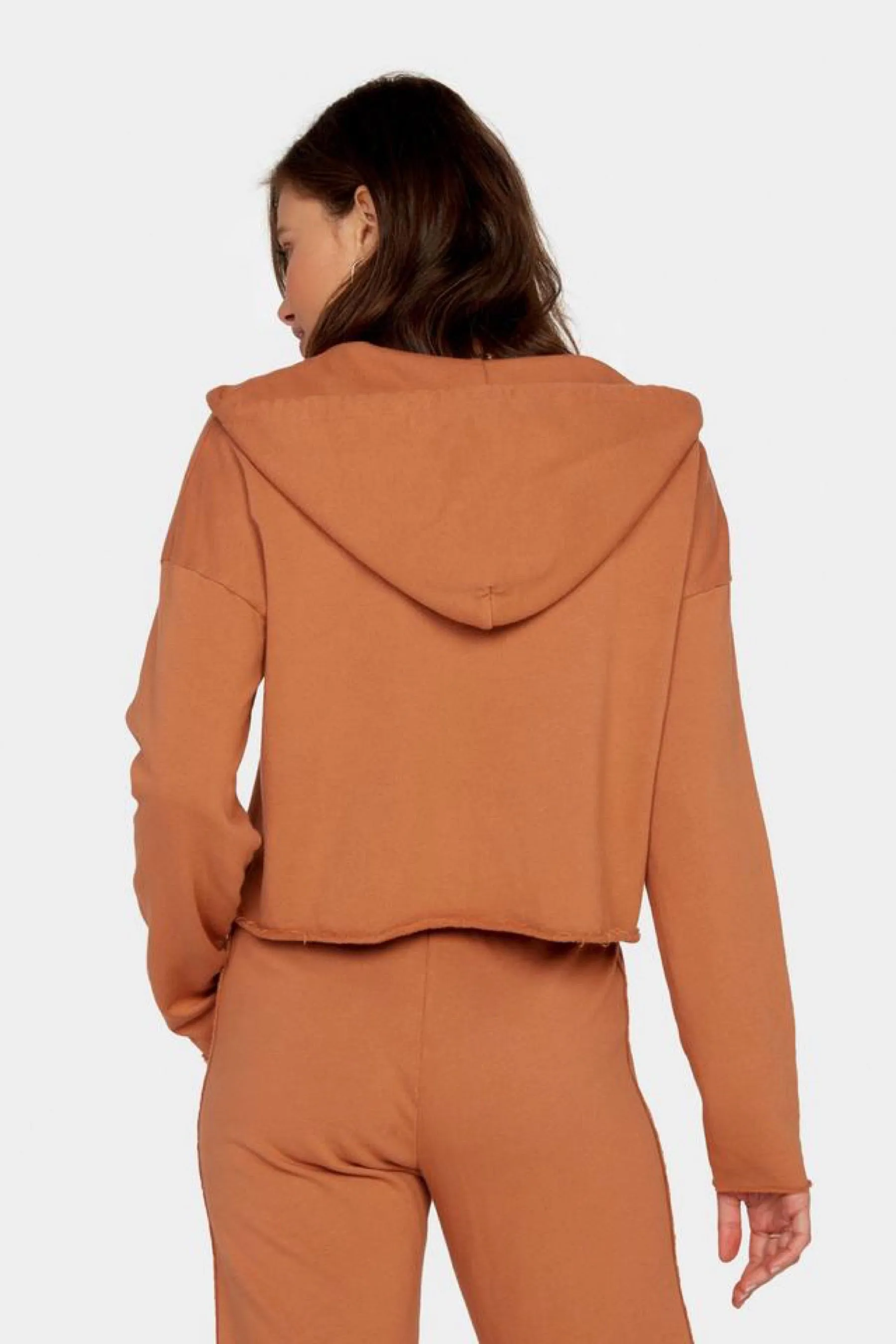 Clay Lewis Cropped Hoodie